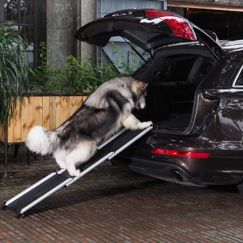Telescopic Portable Dog / Pet Ramp Adjustable Extends To 160Cm